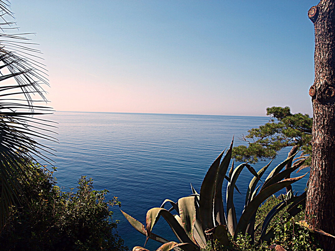 Барселона. - Владимир Драгунский