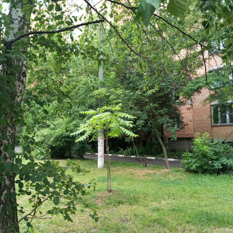 Мой край - Елена Семигина