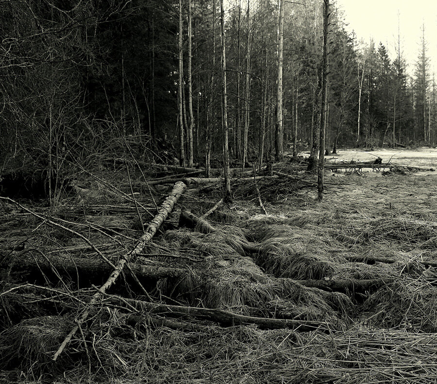 ...чужие здесь не ходят... - Aleksandr Gal