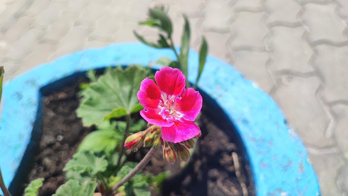 ,,, - Сергей Тимоновский