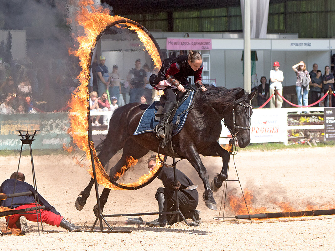 *** - Алексей Смирнов *** - Алексей Смирнов