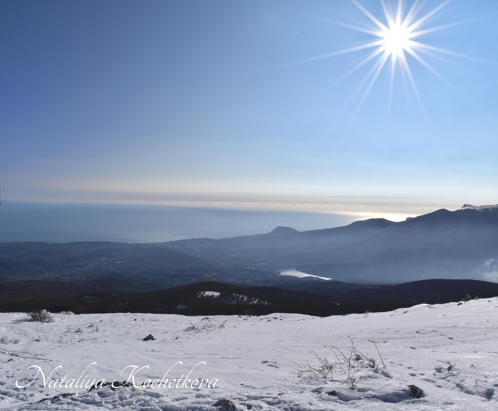 Природа Крыма - Amazing Cosmea