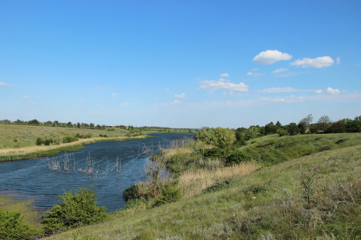 Оазис в степи. - Виктор 