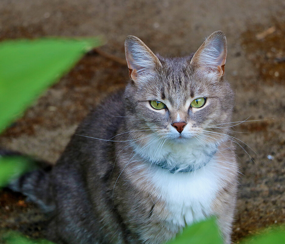 Вот такая красотка повстречалась мне - Светлана 