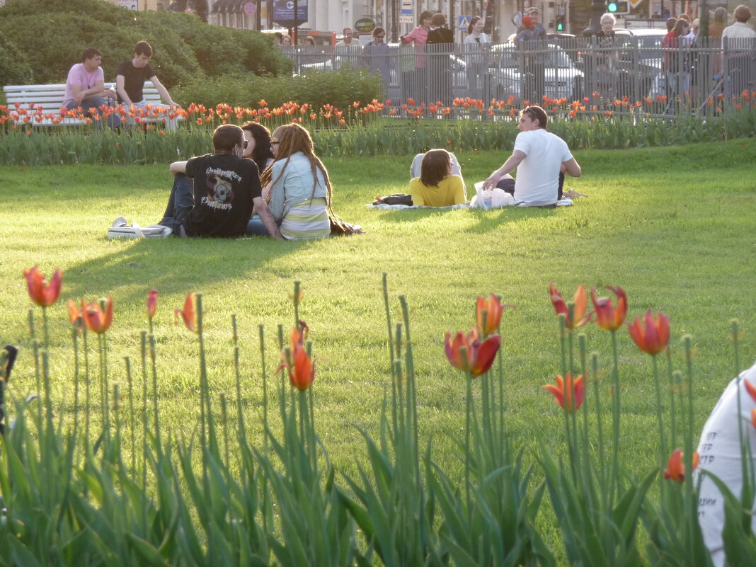 На полянке. Спб. Казанский собор. - Alexey YakovLev