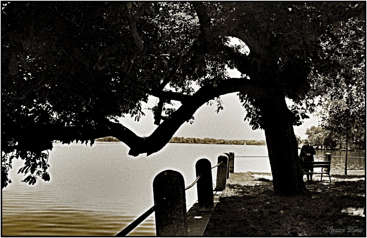 tata - Denis Lipatov