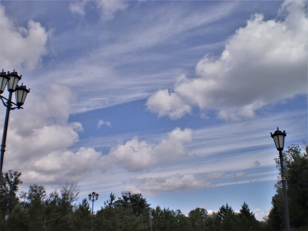 Летнее небо. - Венера Чуйкова