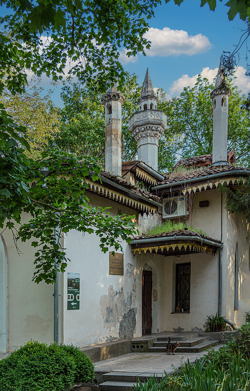 Портал с котом на переднем плане - Юрий Яловенко Портал с котом на переднем плане - Юрий Яловенко