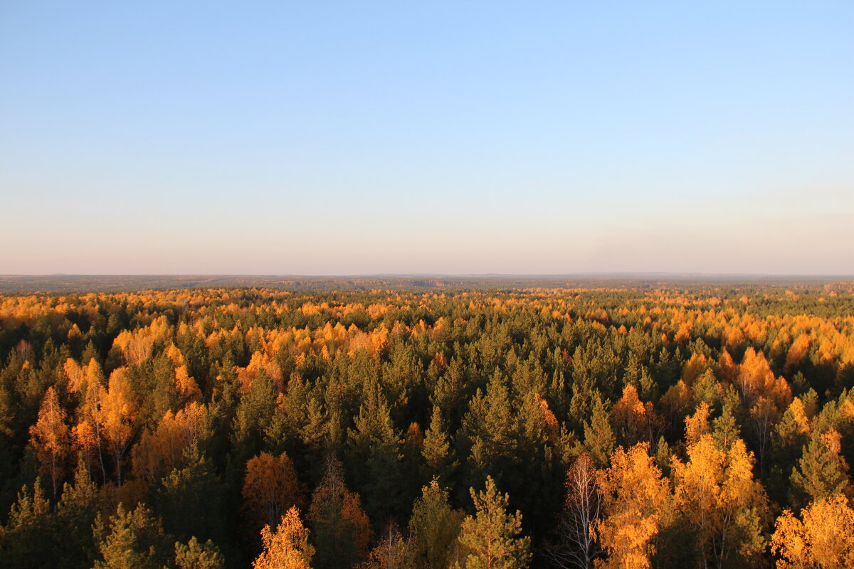краски осени - Игорь 