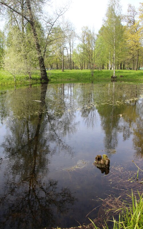 Стрельна. Орловский парк - Наталья Герасимова Стрельна. Орловский парк - Наталья Герасимова