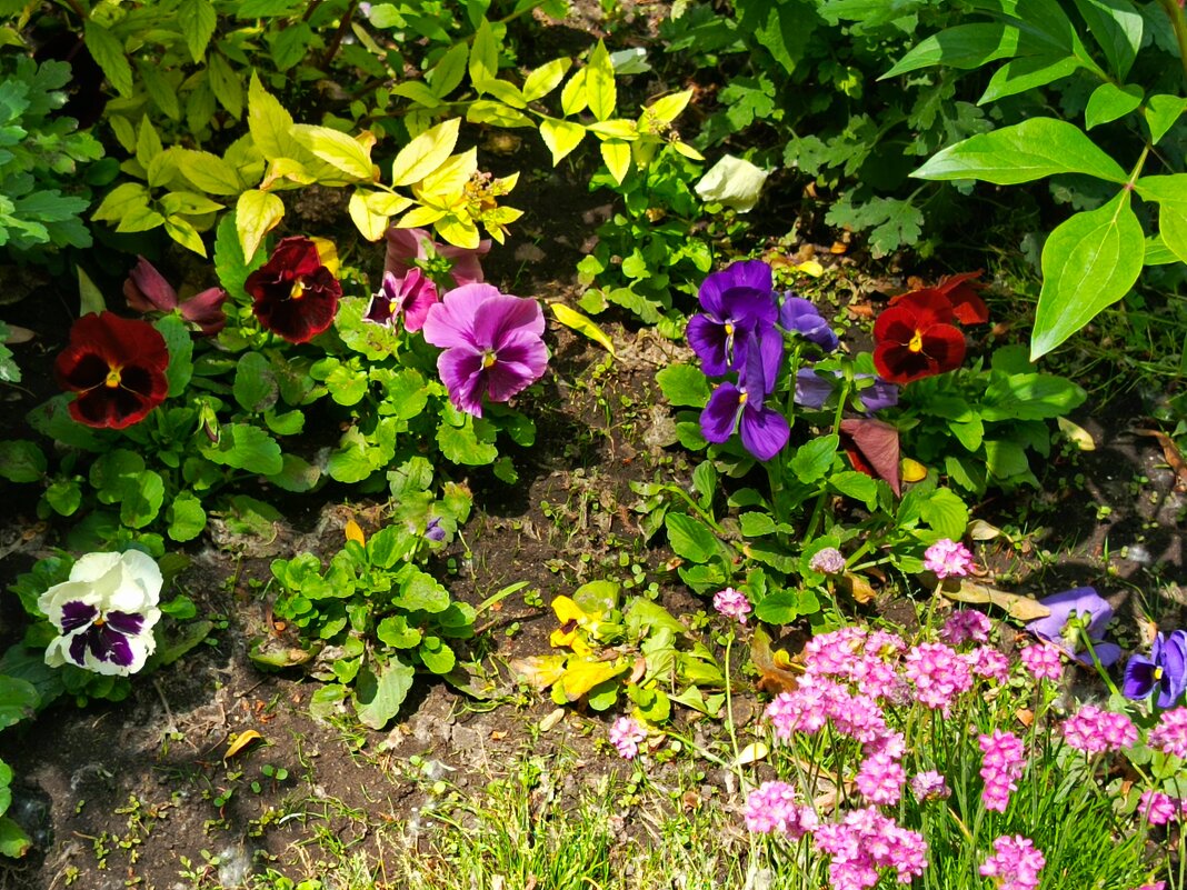 Яркие цветы - Татьяна Пальчикова