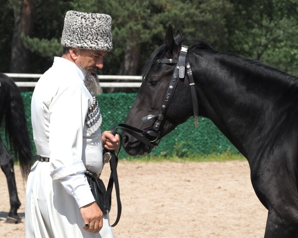 На конной выставке - Магомед . На конной выставке - Магомед .