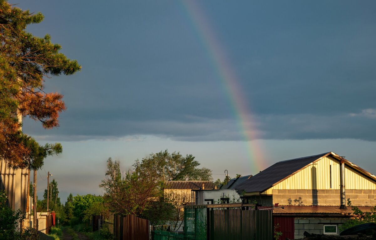 После дождя - Петр 