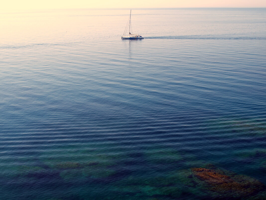 Барселона. - Владимир Драгунский Барселона. - Владимир Драгунский