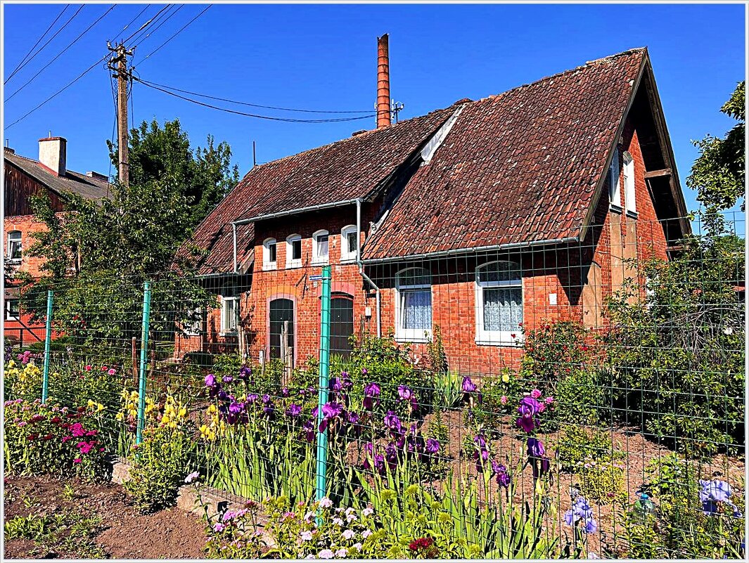 Палисаднички Гвардейска. - Валерия Комова