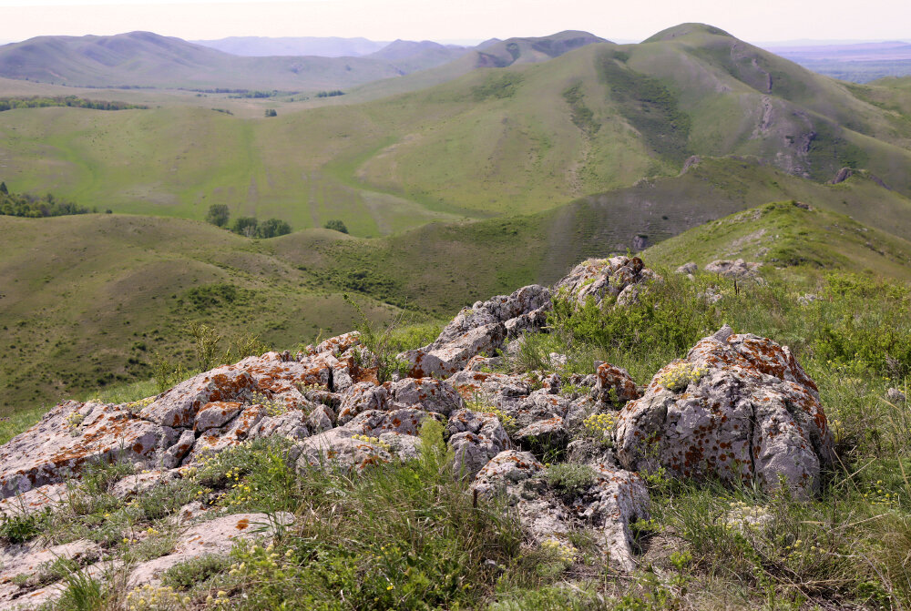 Долгие горы - Галина Ильясова