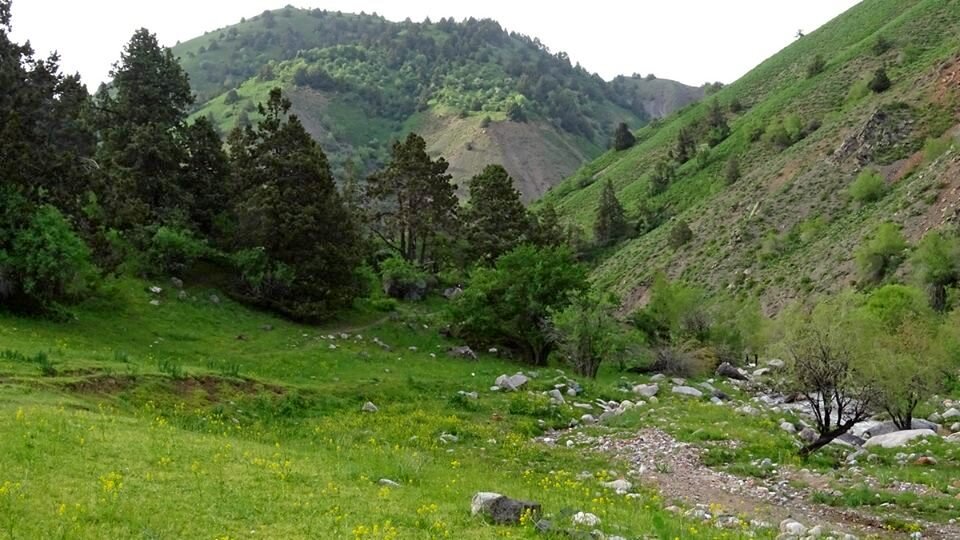 ПО ГОРАМ. - Виктор Осипчук