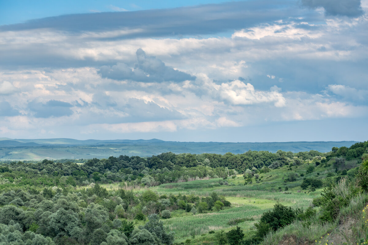 Краснодарский край - Игорь Сикорский