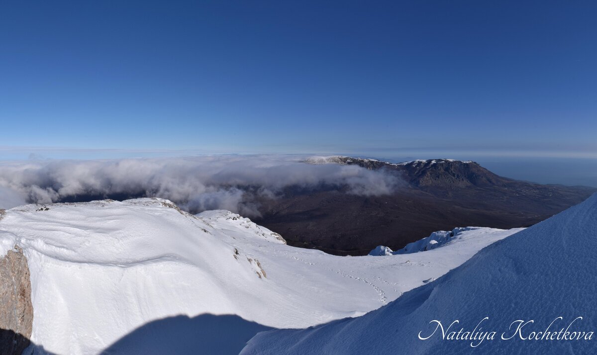 Природа Крыма - Amazing Cosmea