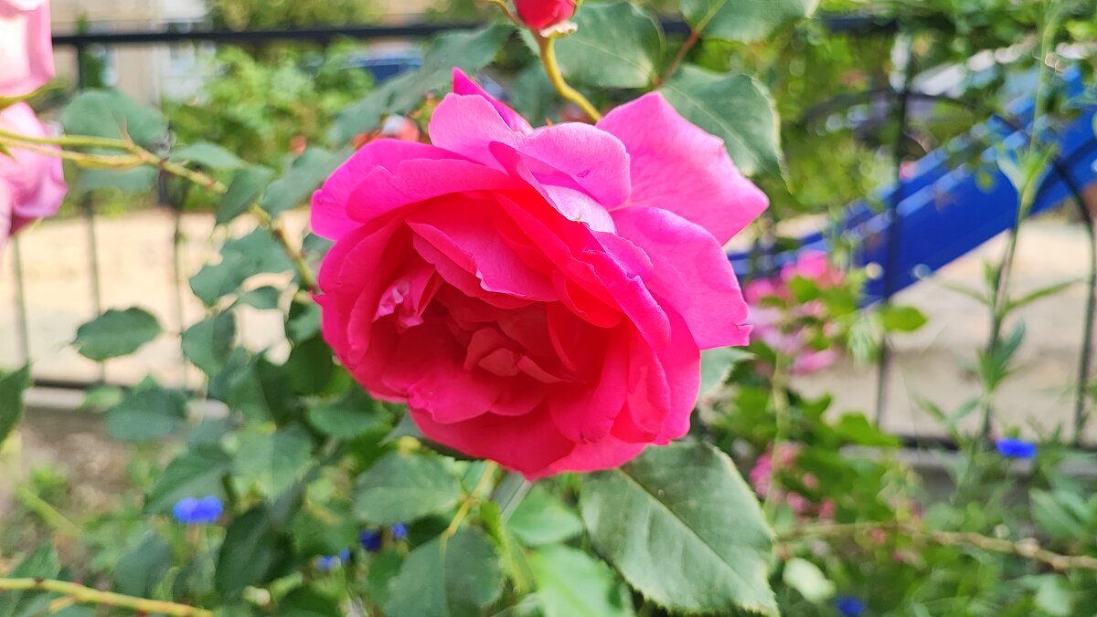 ,,, - Сергей Тимоновский