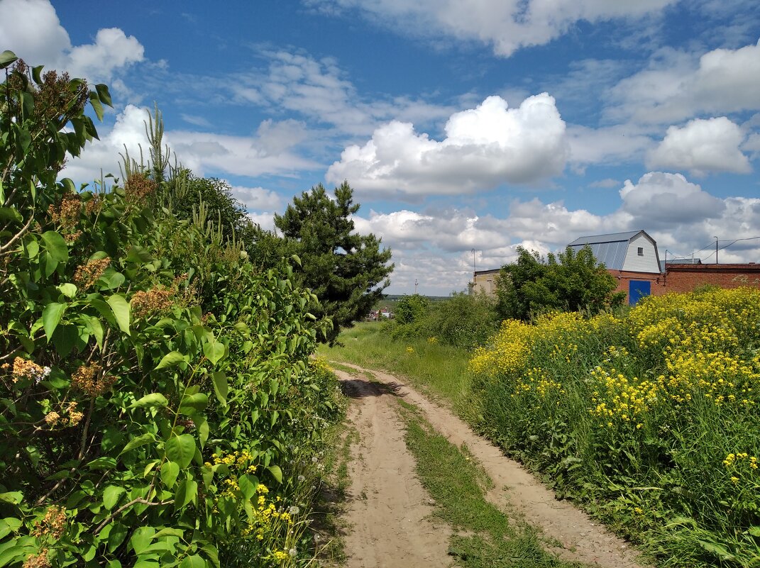 По дороге с облаками - Елена Семигина По дороге с облаками - Елена Семигина