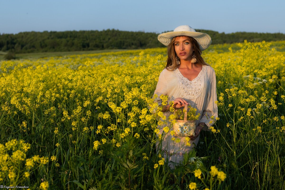 Представление - Евгений Ермаков Представление - Евгений Ермаков