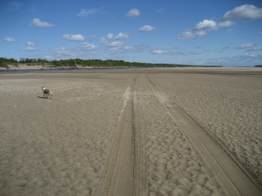 На протоке - Anna Ivanova