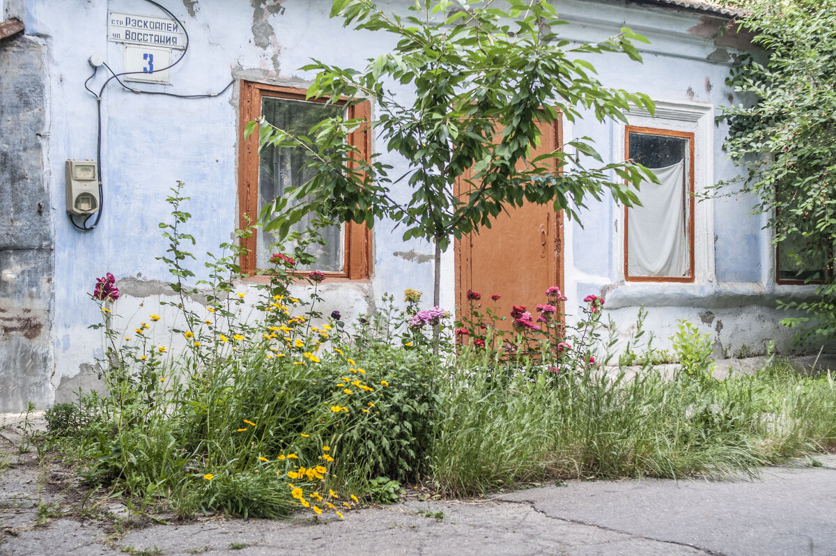 Хата & цветы - Коля Лукашов