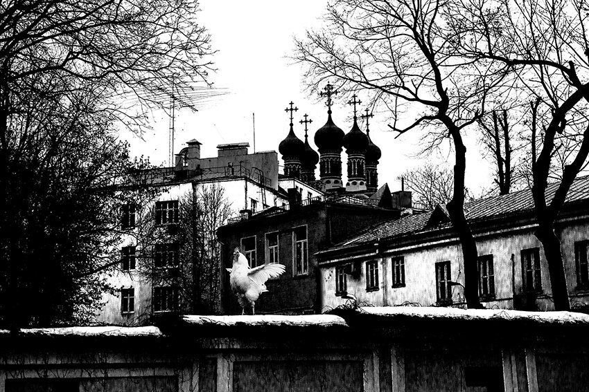 Утро нашего городка - Владимир Шишкин Утро нашего городка - Владимир Шишкин