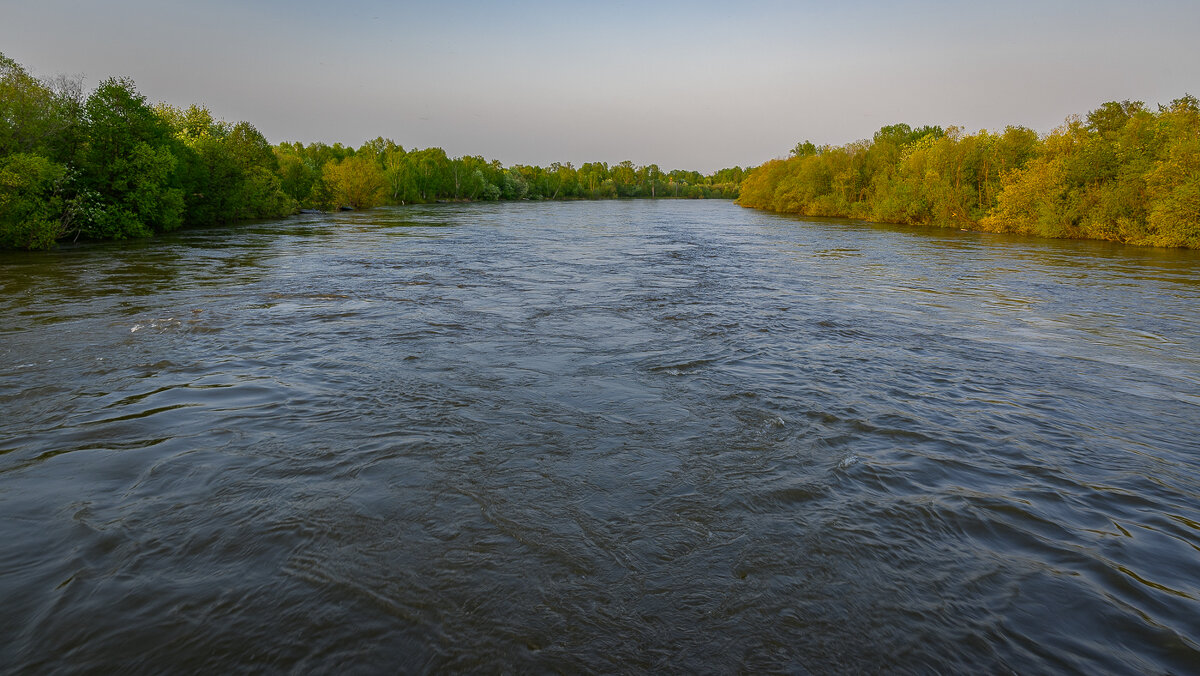 ... - Жора Житников