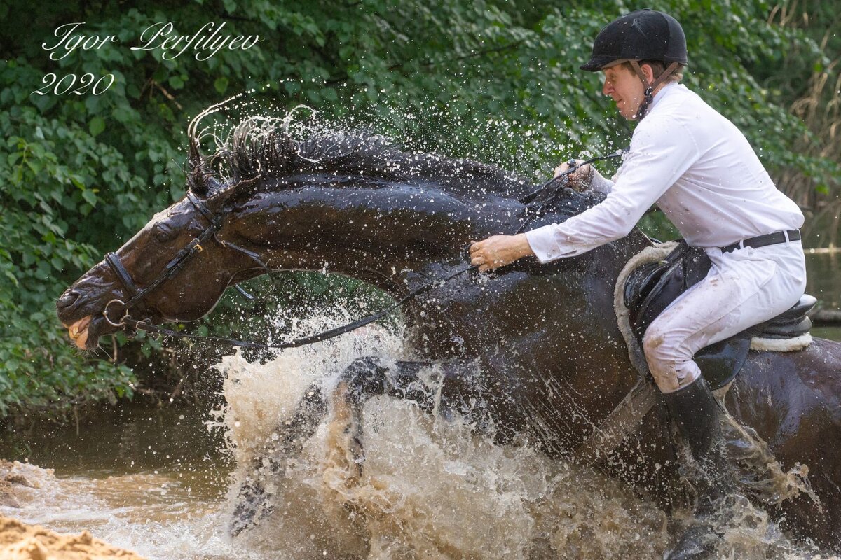 жара - игорь 