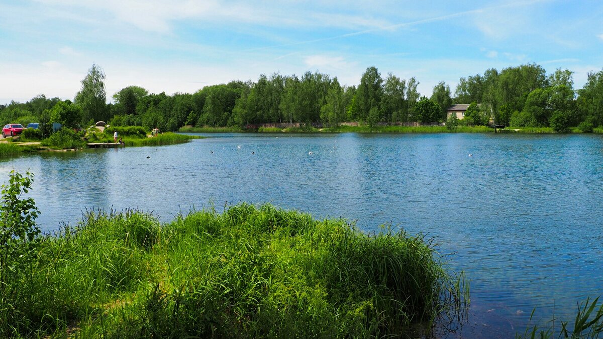 Смоленщина в июне (репортаж из поездок по области). - Милешкин Владимир Алексеевич Смоленщина в июне (репортаж из поездок по области). - Милешкин Владимир Алексеевич