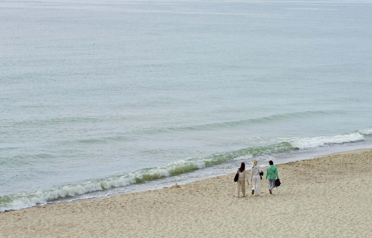 Куршская коса - Олег Денисов