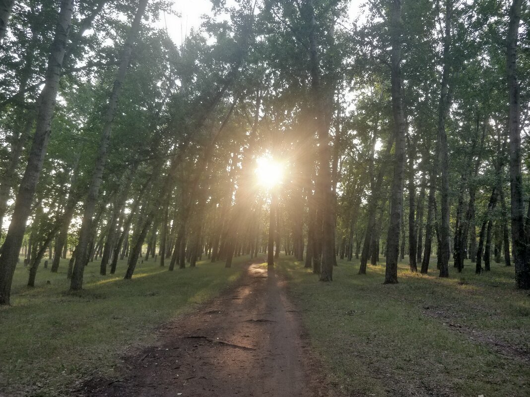 Вечернее Солнце - Андрей Хлопонин