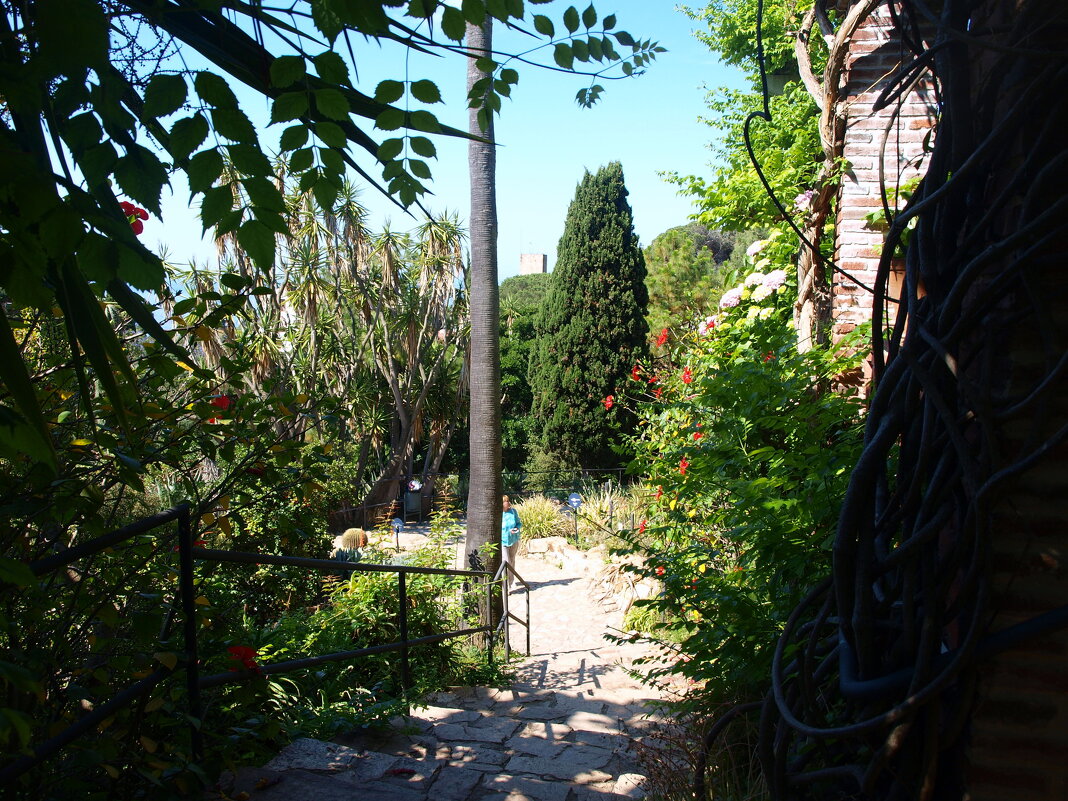 Барселона. - Владимир Драгунский