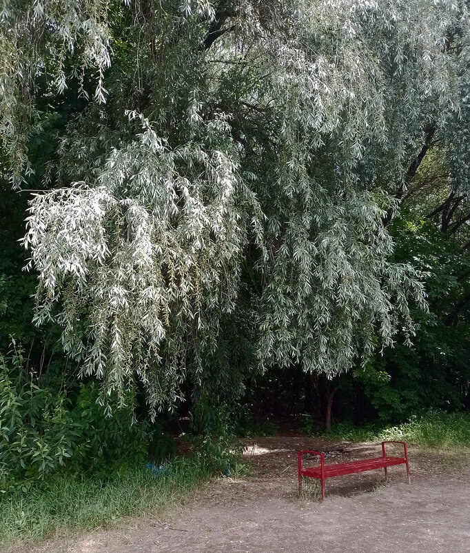 *** - Валентина Береснева