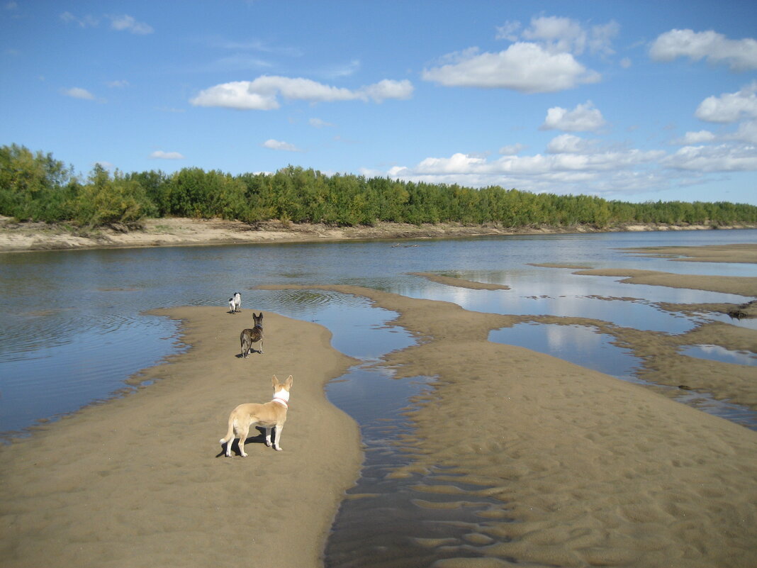 Лето - Anna Ivanova