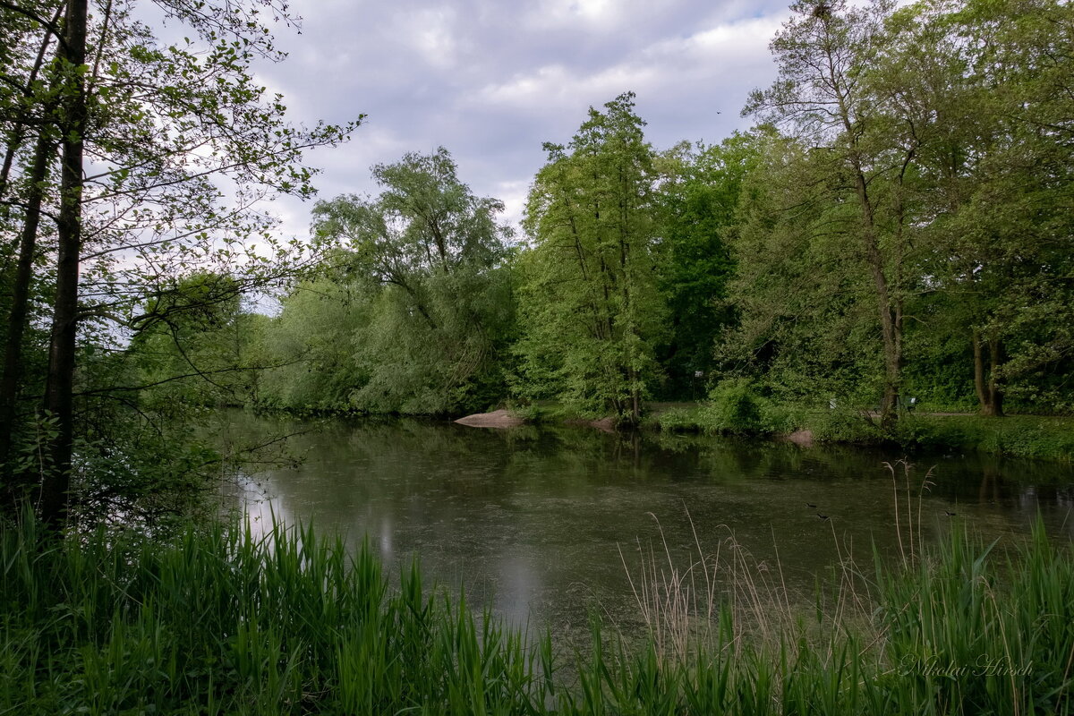 Майское... - Николай Гирш Майское... - Николай Гирш