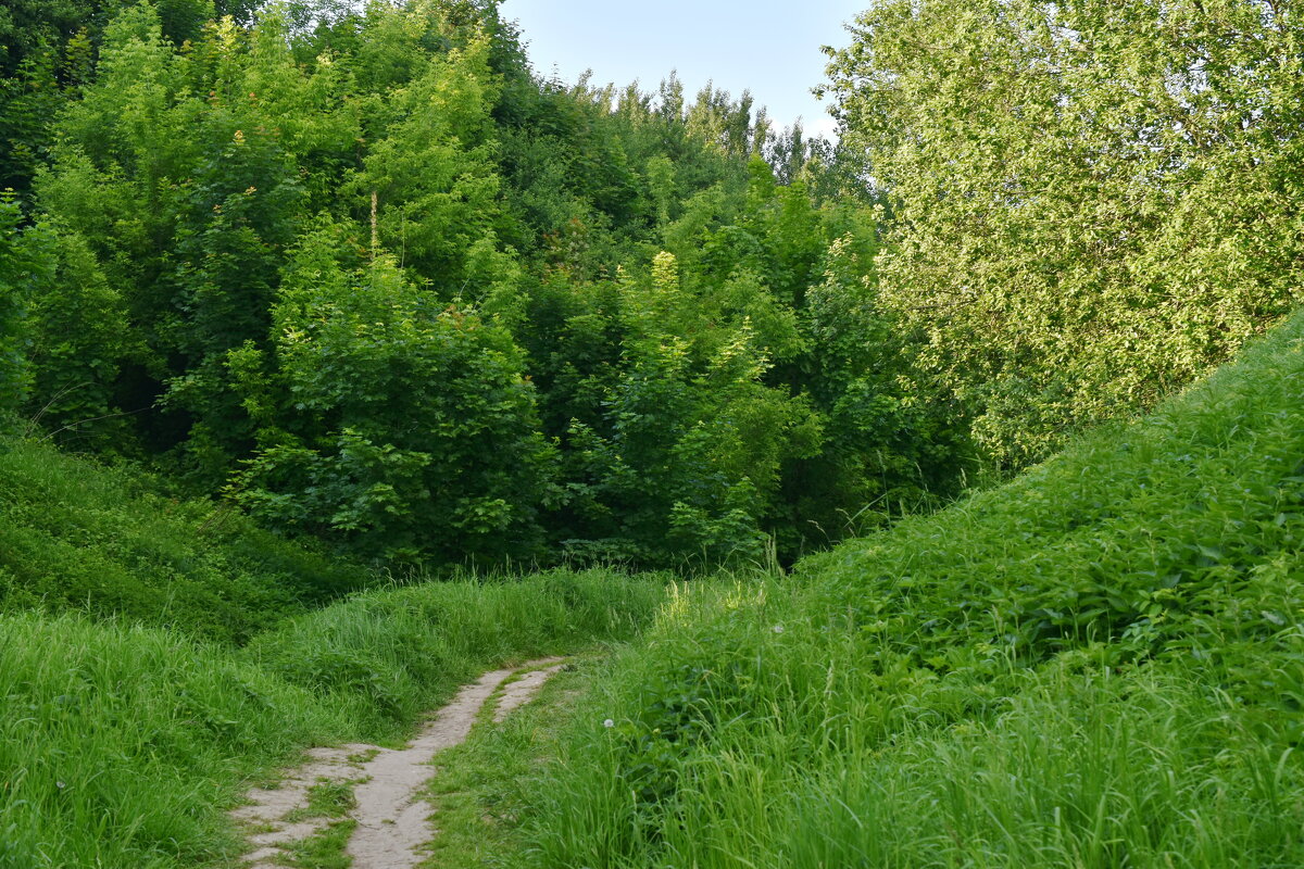 Голосов овраг - Леонид Иванчук