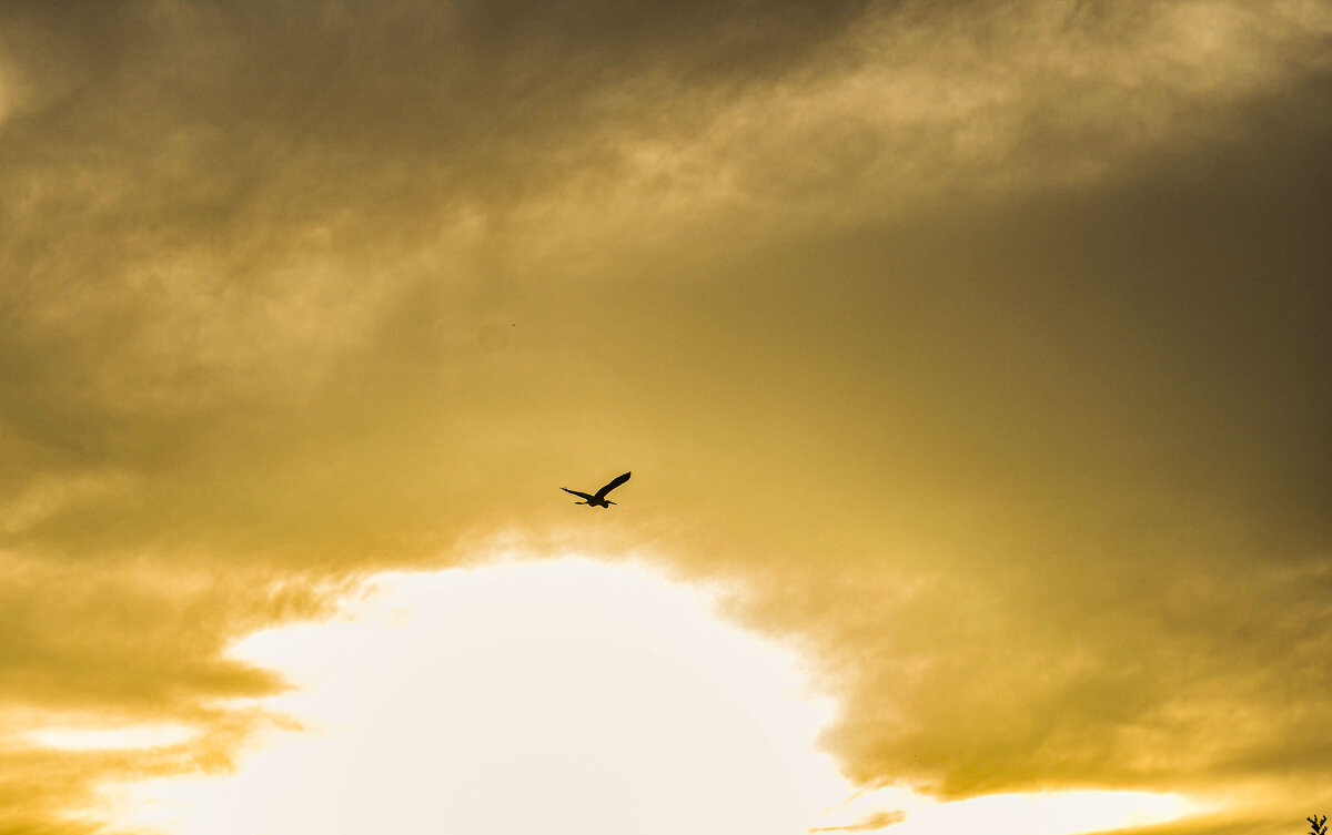 ...и нигде не встречает преград - Осень 