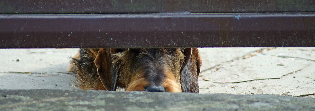 Взаперти - Леонид leo