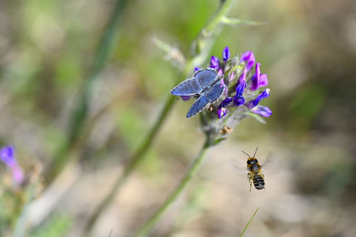 Лето - это маленькая жизнь - Ольга 