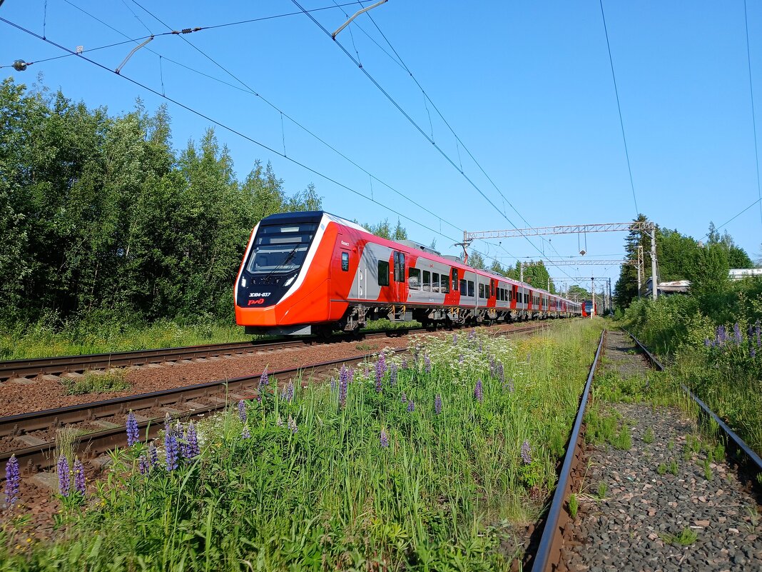 "Финист" - ясный сокол ☺ - Лия ☼