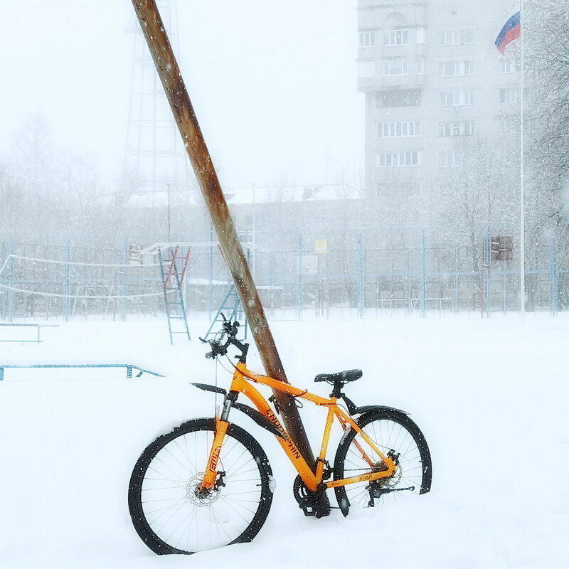 Заждался " конь"... - Владимир Шошин