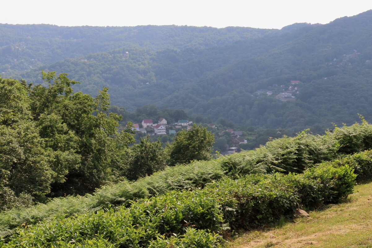 *** - Александр Николаев