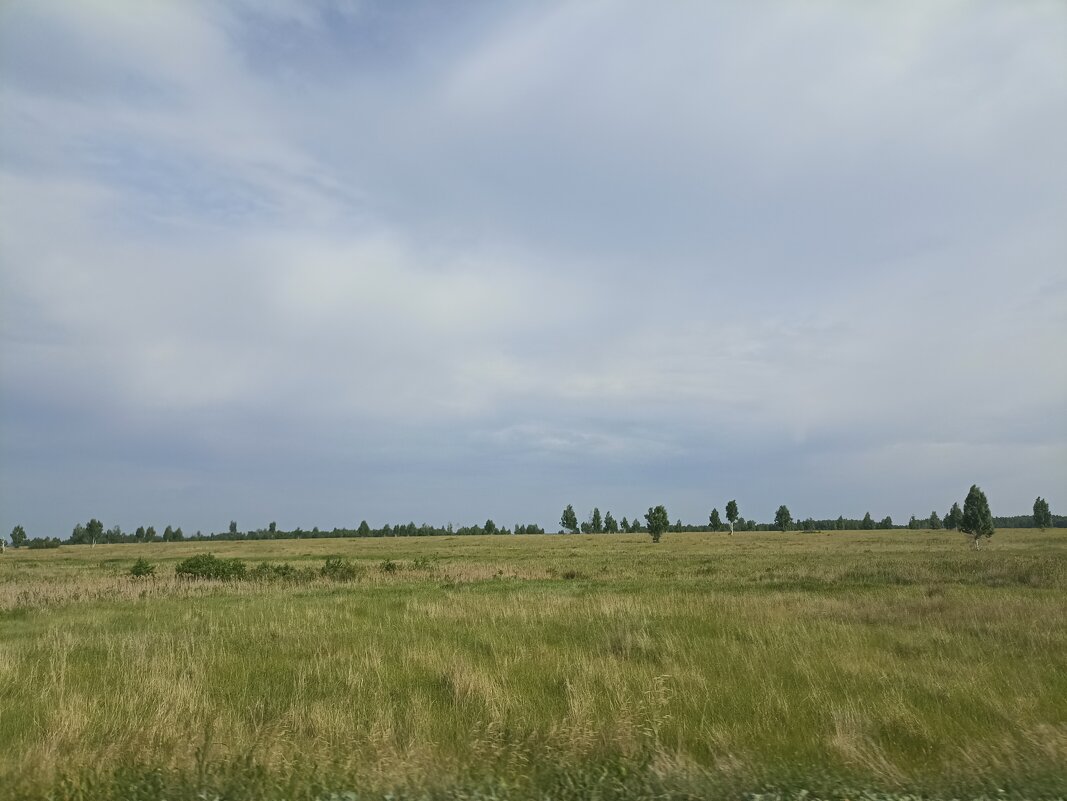 Летним днём. - Pippa 