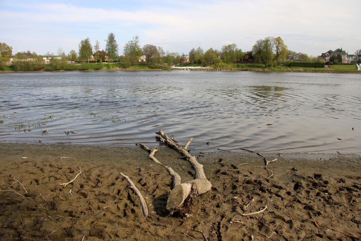 Стрельна. Орловский пруд - Наталья Герасимова