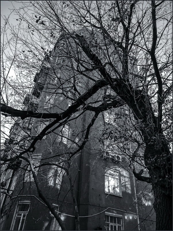 Московский двор - Наталья Rosenwasser