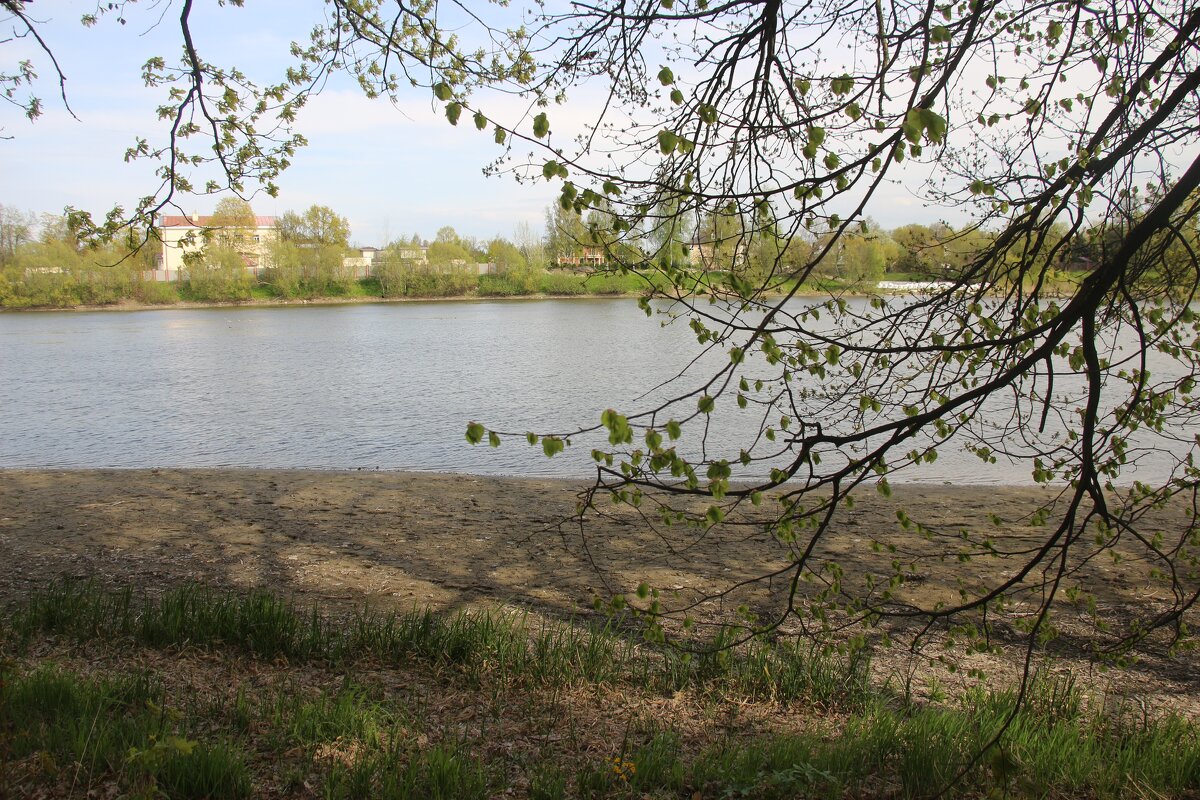 Стрельна. Орловский пруд - Наталья Герасимова