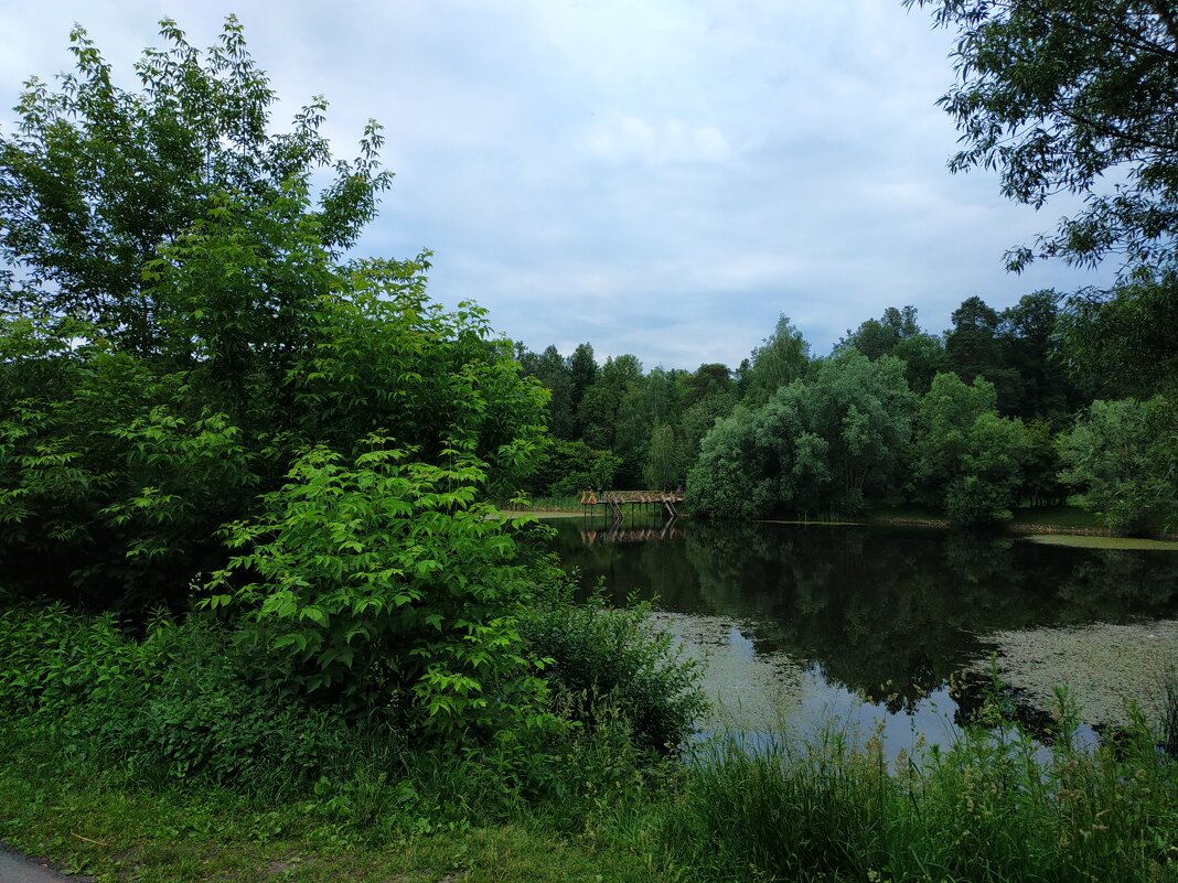 * * * - Андрей Лукьянов